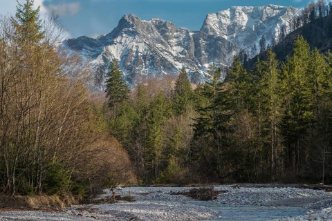 A river meanders through a forest with snow-capped mountains in the background. Almtal Upper