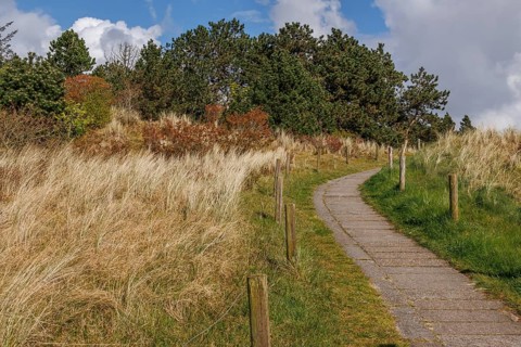 A path that leads through an autumnal landscape of fields and woods, under a partly cloudy sky,