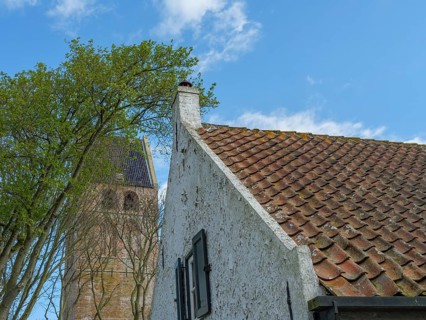 An old house with a red tiled roof next to a large tree and a church under a sunny blue sky,