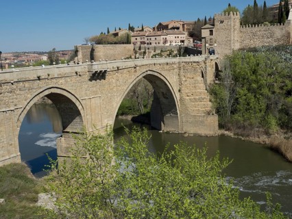Stone bridge over a river with historic buildings and green vegetation in the background on a sunny