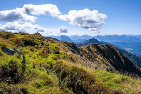 Green mountain meadow on a mountain ridge, Carnic Main Ridge, Carnic High Trail, Carnic Alps,
