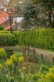 A well-maintained wooden fence with blossoming railing flowers lining the quiet village street, old