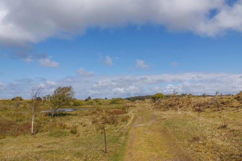 Extensive path through green meadow landscape with hills under a partly cloudy sky, dune and hiking
