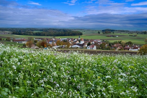 View over Schopflohe near Fremdingen, on the edge of the Ries crater, Noerdlinger Ries, Swabia,