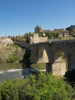 Stone bridge with arches over a river, surrounded by a cityscape and vegetation, sunny weather,