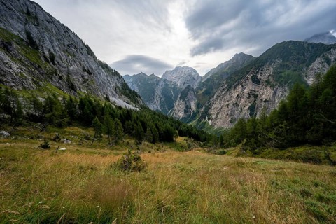 Mountain landscape with rocky mountain peaks and mountain forest, view into the Wolayer valley,