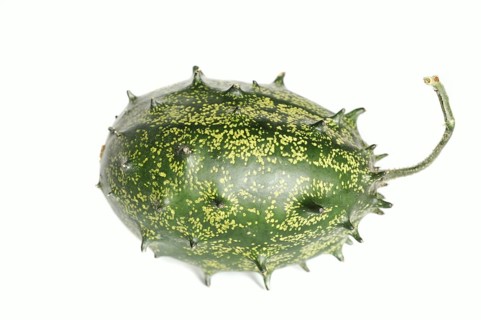 African horned melon (Cucumis metuliferus), fruit on white background