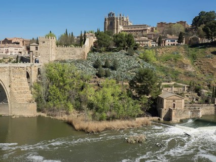 A stone bridge over a river in the foreground, cathedral and buildings on a green hill, under a