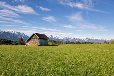 Wooden hut near Fuessen, woodpile, Allgaeu Alps, snow, meadow, Allgaeu, Bavaria, Germany, Europe