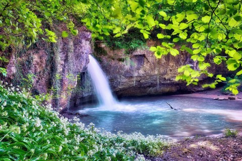 Waterfall in the forest with a small pond, wild garlic in bloom, Canton Basel-Landschaft,