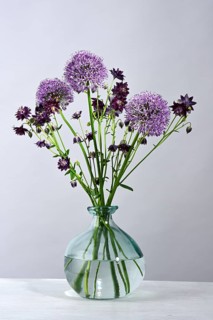 Vase with violet bouquet with Giant onion (Allium giganteum) flowers