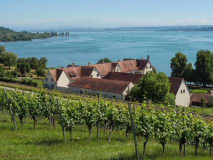 Winery with red roofs on the shore of a lake, surrounded by vineyards and green nature on a sunny