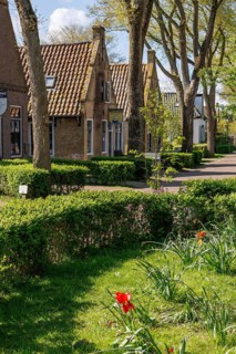 A village street with well-tended front gardens, blooming flowers and trees on a sunny day,
