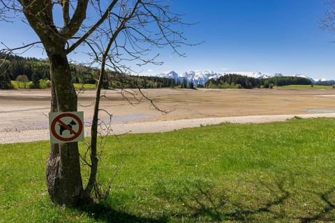 Drained Forggensee, empty, reservoir, flood protection, tree, information board, ban on dogs,