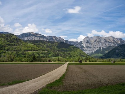 Field path leads through farmland, mountain range behind, near Woerschach, Ennstal, Styria,
