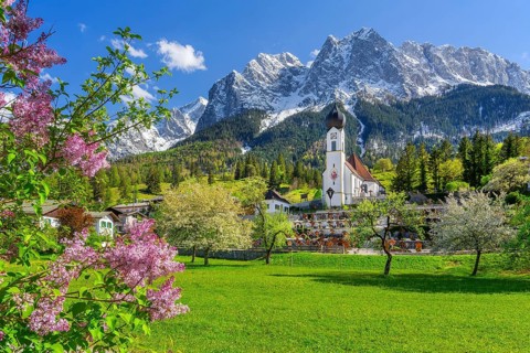 Spring meadow with blossoming trees and parish church in front of the Grosser Waxenstein 2277m in