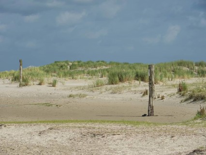 Lonely beach section with dune grass and wooden posts under a cloudy sky, lonely beach with dune