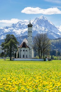 Pilgrimage church of St Coloman in spring, dandelion meadow, Schwangau, Fuessen, Ostallgaeu,