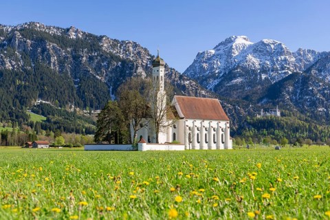 Pilgrimage church of St Coloman in spring, dandelion meadow, behind Neuschwanstein Castle,