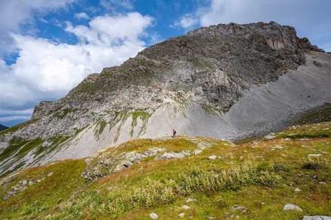 Mountain meadow with blooming thistles, mountaineer in front of rocky mountain peak Rosskopf,