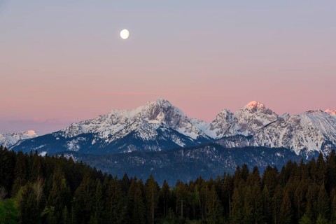 Allgaeu Alps, view from Hegratsrieder See, snow, dawn, moon, Allgaeu, Bavaria, Germany, Europe