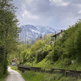 A quiet path leads through a green landscape with snow-capped mountains in the background