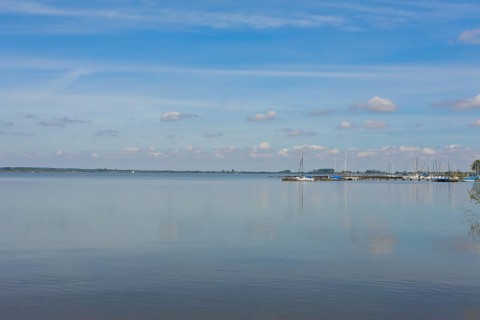 Lake Duemmer, nature reserve, shore, Huede, Lower Saxony, Germany, Europe