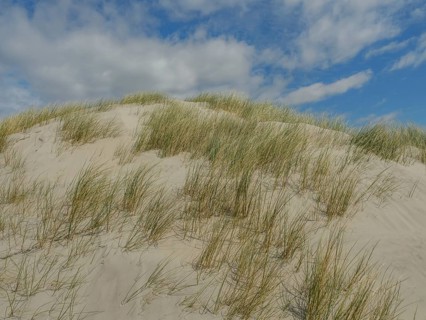 Sand dunes with grass under a partly cloudy sky, a calm coastal landscape, dunes on an island with