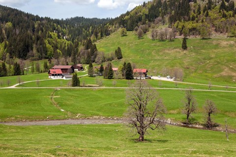 Rohrmoos, Rohrmoostal, Oberallgaeu, Allgaeu, Bavaria, Germany, Europe