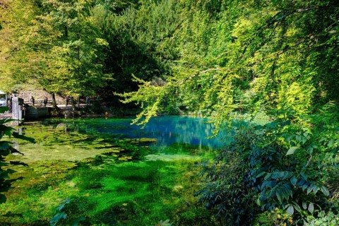 Blue spring, karst pot, Blautopf, Blaubeuren, Swabian Alb, Baden-Wuerttemberg, Germany, Europe