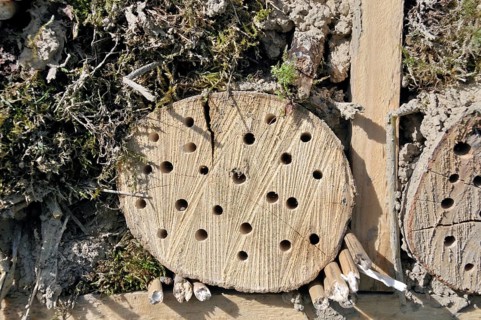 Nesting aid for wild bees and other insects with wooden logs, wild bee nesting aid, insect nesting