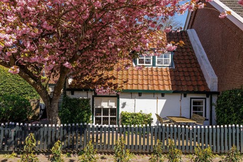 Small house with flowering tree, terrace and garden fence in a quiet spring landscape, historic
