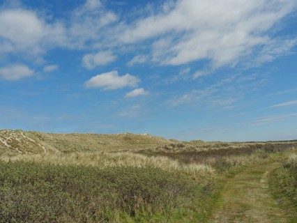 A nature trail leads through a hilly landscape with grass and dunes under a blue sky, dune and