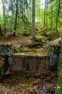 On the Timberland Trail, Obernaugraben, Bad Kohlgrub, Pfaffenwinkel, Upper Bavaria, Bavaria,