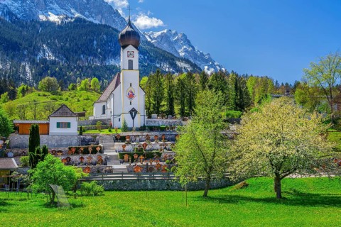 Spring meadow with blossoming trees and parish church in front of the Zugspitze 2962m in the