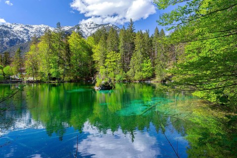 Spring at Lake Badersee, Zugspitzdorf Grainau, Werdenfelser Land, Bavarian Alps, Upper Bavaria,
