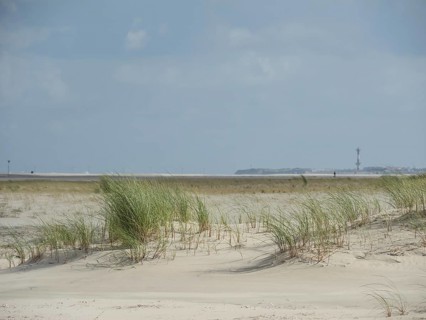 Extensive sand dunes with tufts of grass under a slightly cloudy sky, sand dune with dune grass on