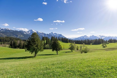 Landscape near Buching, Allgaeu Alps, sun, snow, forest, fir trees, Ostallgaeu, near Fuessen,