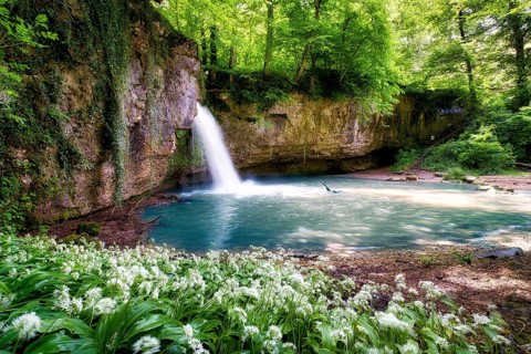 Waterfall in the forest with a small pond, wild garlic in bloom, Canton Basel-Landschaft,