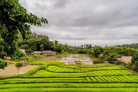 Landscape of Five Hill Tribes Village house and rice paddies with unidentified people working in