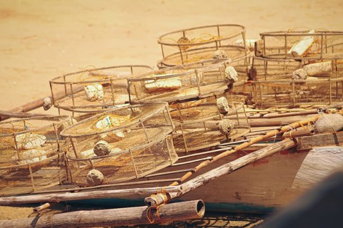 Traditional circular fish traps made from sturdy metal frame and plastic nets left to dry in the