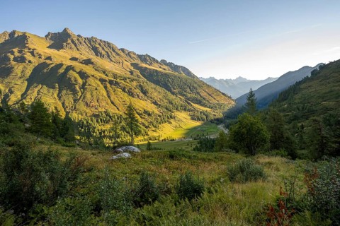 View of the Frohntal valley in the first morning light, mountain landscape with green mountain