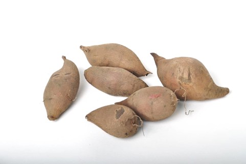 Yacon roots on a white background