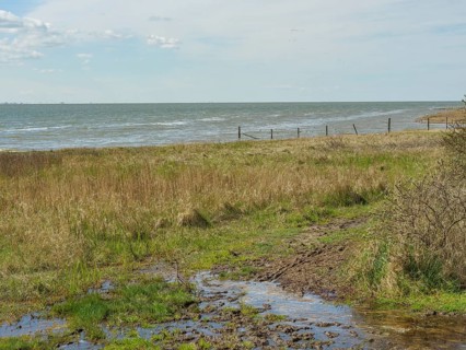 Muddy coastal area with grass and puddles in front of the sea and sky with clouds, dune and hiking