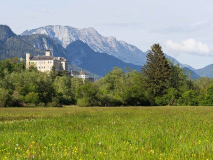 Evening light, Trautenfels Castle, near Irdning, Ennstal, Styria