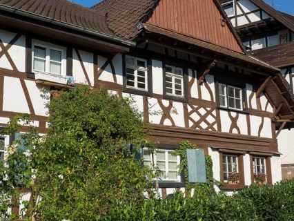 Traditional half-timbered houses with white facades and brown beams, overgrown with ivy in summer,