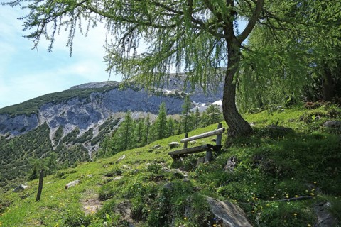 Weissenbachsattel, Achensee, Pertisau, Tyrol, Austria, Europe