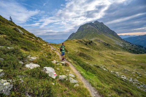 Mountaineer on a hiking trail between green mountain meadows at a saddle, Heretriegel, Carnic High