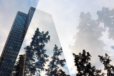 Double exposed image of skyscrapers and trees, Canary Wharf, London, England, Great Britain