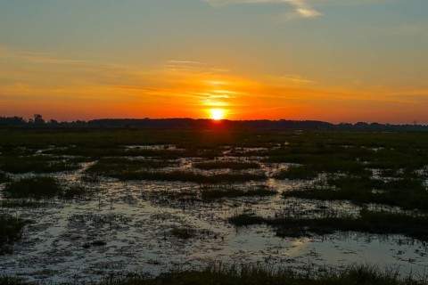 Sunrise in the Ochsenmoor, Lake Duemmer, wet meadows, spring, Huede, Lower Saxony, Germany, Europe